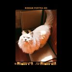 开封了的汽水儿