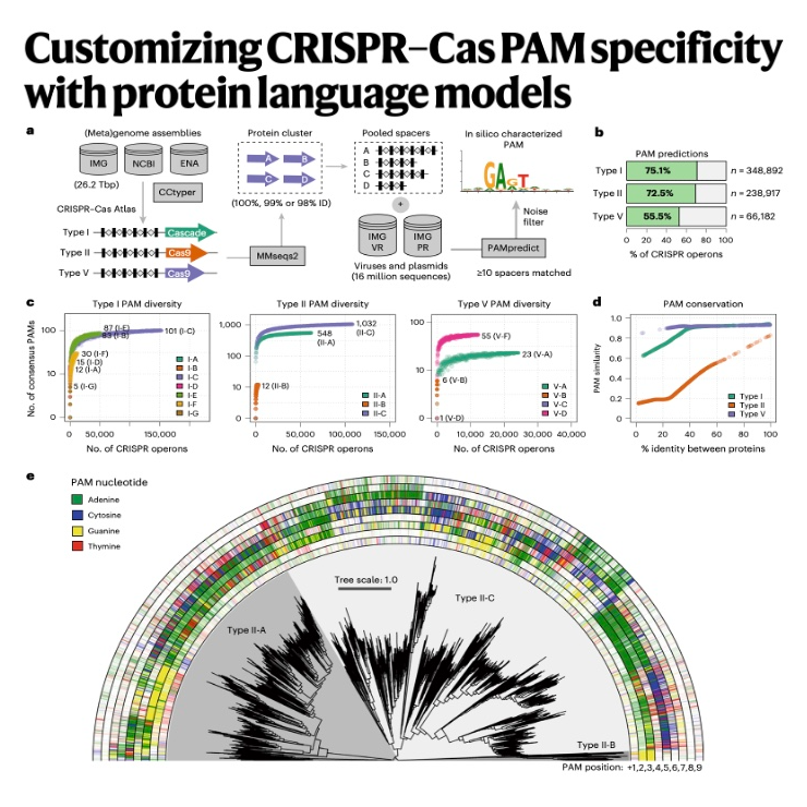 753-基于蛋白质语言模型定制 CRISPR-Cas PAM 特异性 episode artwork