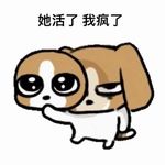 33.三大暑期档流量剧全翻车，为什么我们宁可去追AI剧
