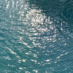 Vol.26 为什么心理医生都劝你别依赖心理咨询｜年末暖心对话