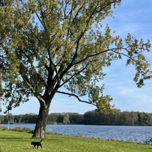 E005 关于35岁的一场职场暂停，我值得拥有！