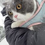蛋花汤汤主