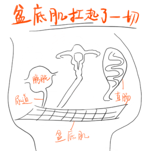 五巡老太守内娱国门,三旬老太守子宫脱垂,我们都有光明的未来