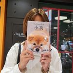 苏饼