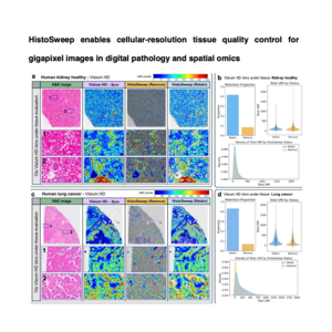 567-HistoSweep for Digital Pathology and Omics