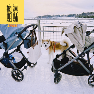 036. Feng's Friends｜赫尔辛基育娃日常：推着孩子去雪地午睡