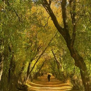 podcaster-avatar