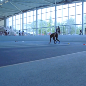 BBC Ideas｜意志力是成功的秘诀