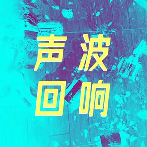 声波回响