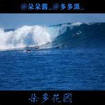 05.罪案十分钟：老布的奇幻漂流