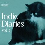Indie Diaries Vol. 6 结成近30年的日本“梦幻民谣” Pervenche