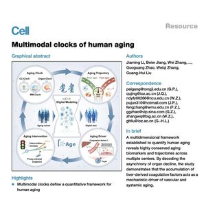 1027-Multimodal Clocks of Human Aging