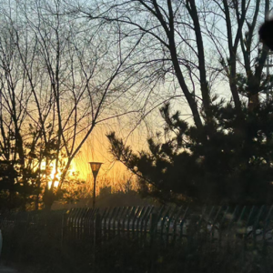 008 对话和故事为什么对我们如此重要?我们在“一人一故事”中寻找答案