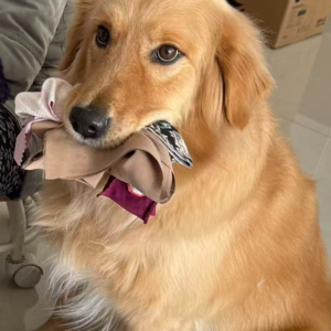 Vol10.中国喜剧消亡史