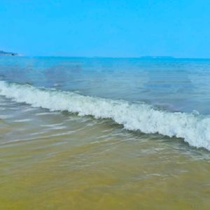 直接经验和间接经验相统一的规律