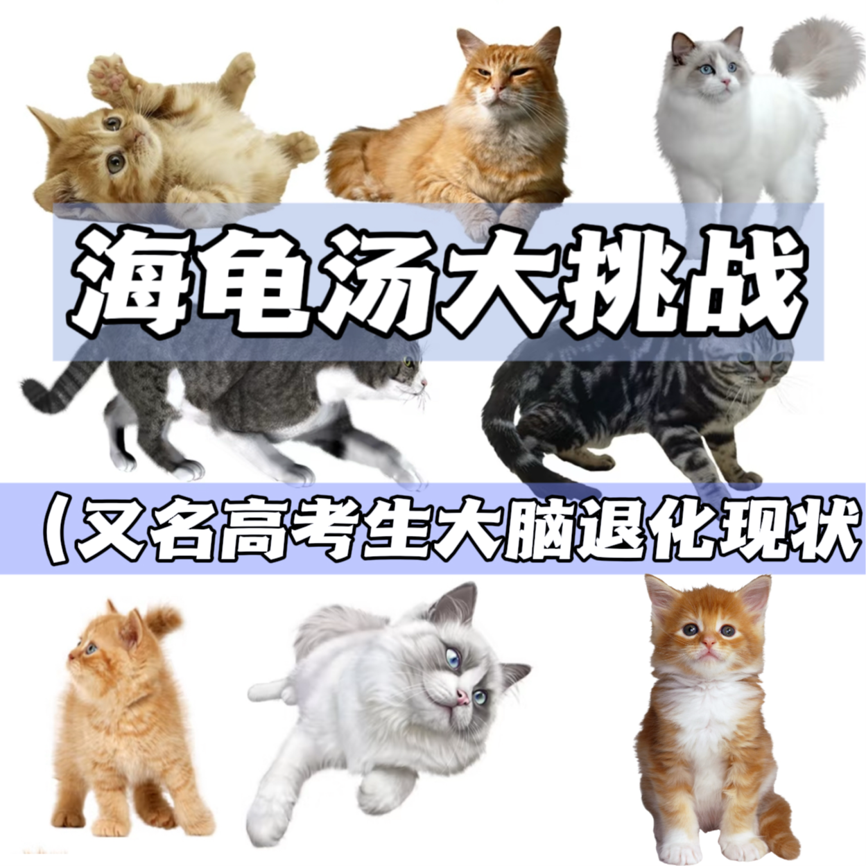 08 ｜海龟汤大挑战（又名高考生大脑退化现状 episode artwork