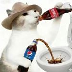 大馋猪送的一个跑车