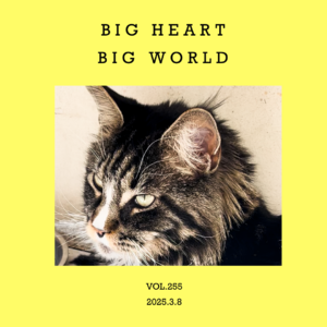 vol.255：心也宽，路也阔，天也高～