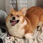 咸鱼跃钢门