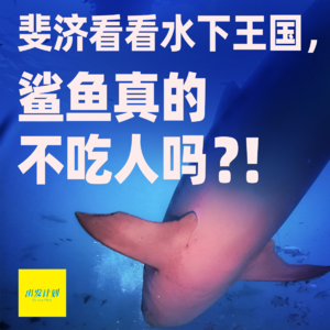 Vol.45 去斐济看看水下王国，鲨鱼真的不吃人吗？!