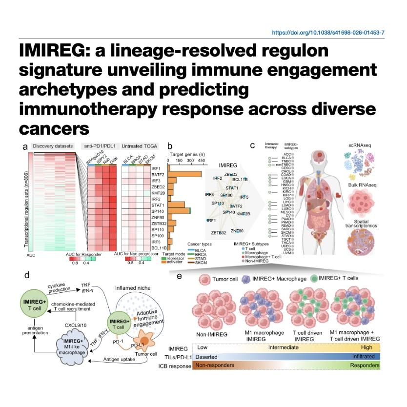1274-IMIREG: Regulon Signature of Immunotherapy Response episode artwork