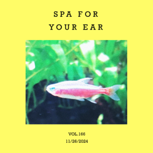vol.166：来，给耳朵做个SPA～