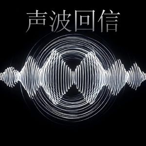 声波回信