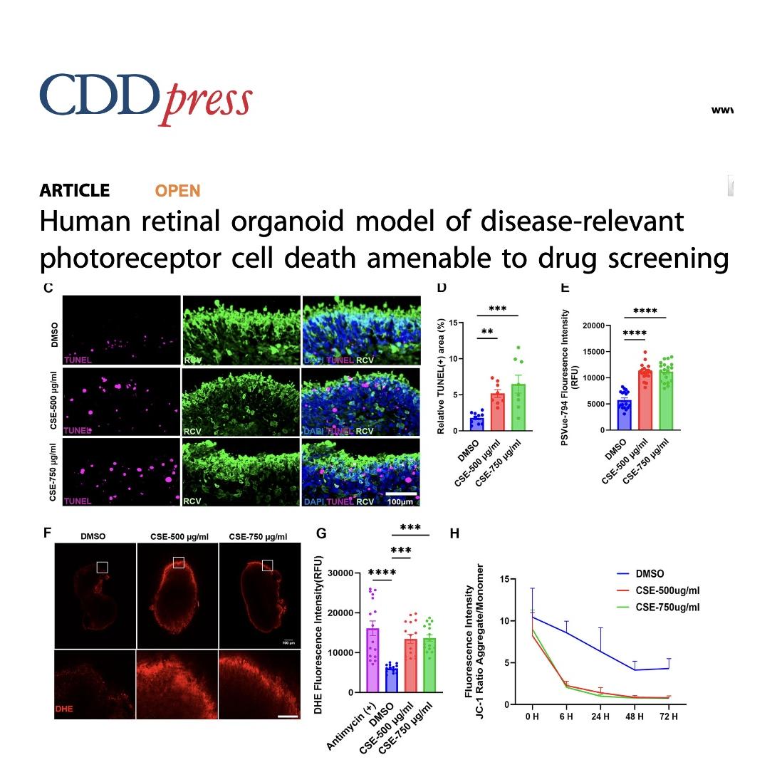 1447-Human Retinal Organoid Model for AMD Drug Screening episode artwork