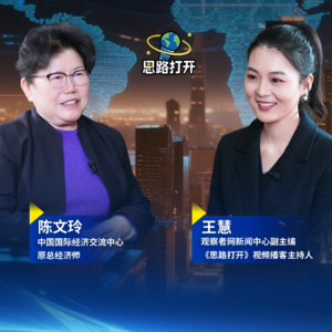 对话陈文玲:中国这几条经贸红线,谁碰谁付出代价