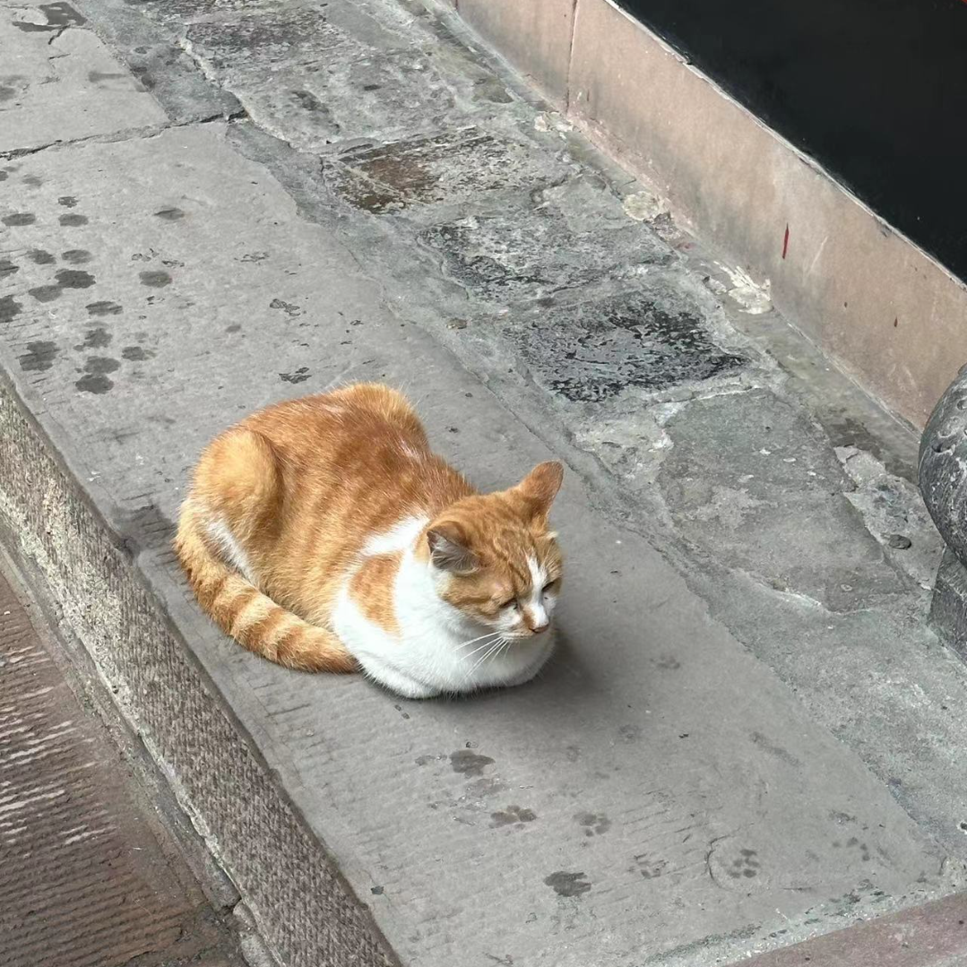 难得卖萌