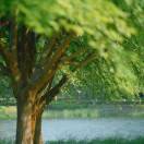 做自己的国王吧朋友