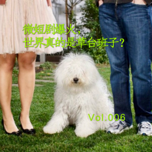 Vol.006 微短剧爆火,世界真的是草台班子?