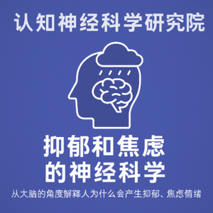 02 不是你想太多，而是大脑真的出问题了—抑郁焦虑的神经真相