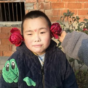 唐诗桉