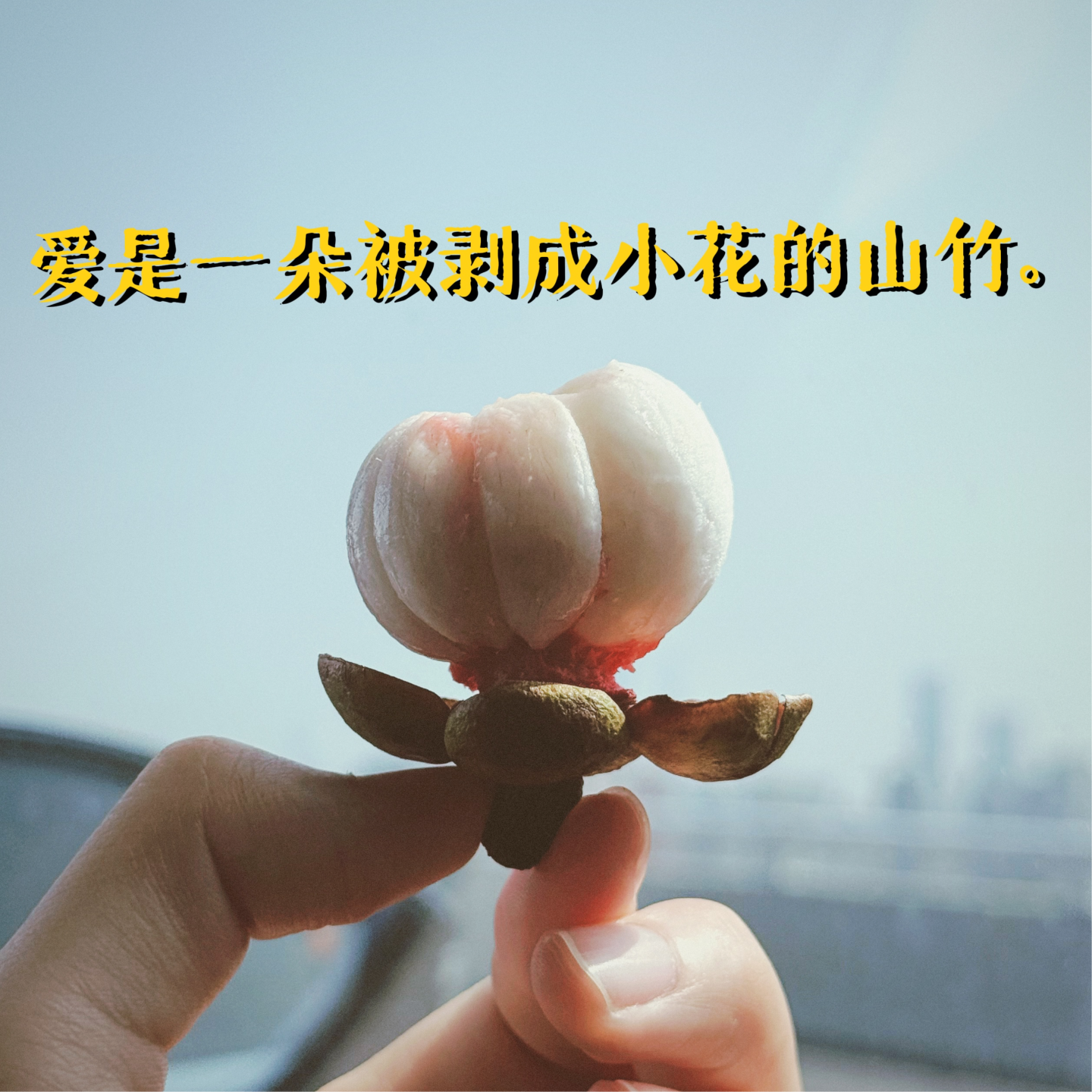 022 《爱的对谈》教我看清亲密关系的当下模样 episode artwork
