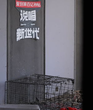 六年里没找到《说唱新世代》平替