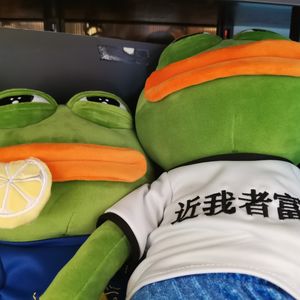 圆圆yuanyuan