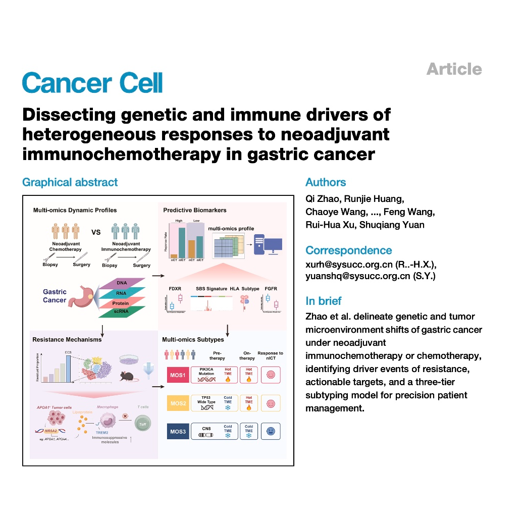 585-Drivers of Gastric Cancer Response to Immunochemotherapy episode artwork