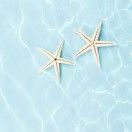 于无声处蔚蓝典雅