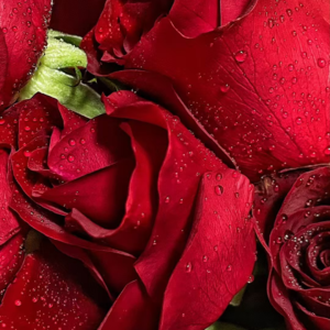 048-关于爱情💓在解题时代里，依然拥有不解题的勇气