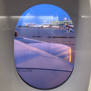 Ep.3【孔祥宇x李纸岛】人生是一场工程浩大的社会化