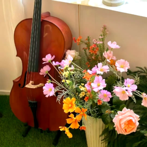 VOL457.我可以自由地怀疑,提出天真的问题,而不是加入肯定和否定的大合唱。