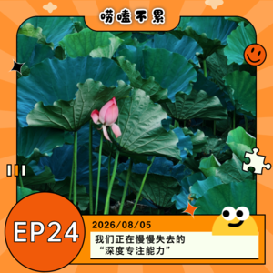EP24:我们正在慢慢失去的“深度专注能力”