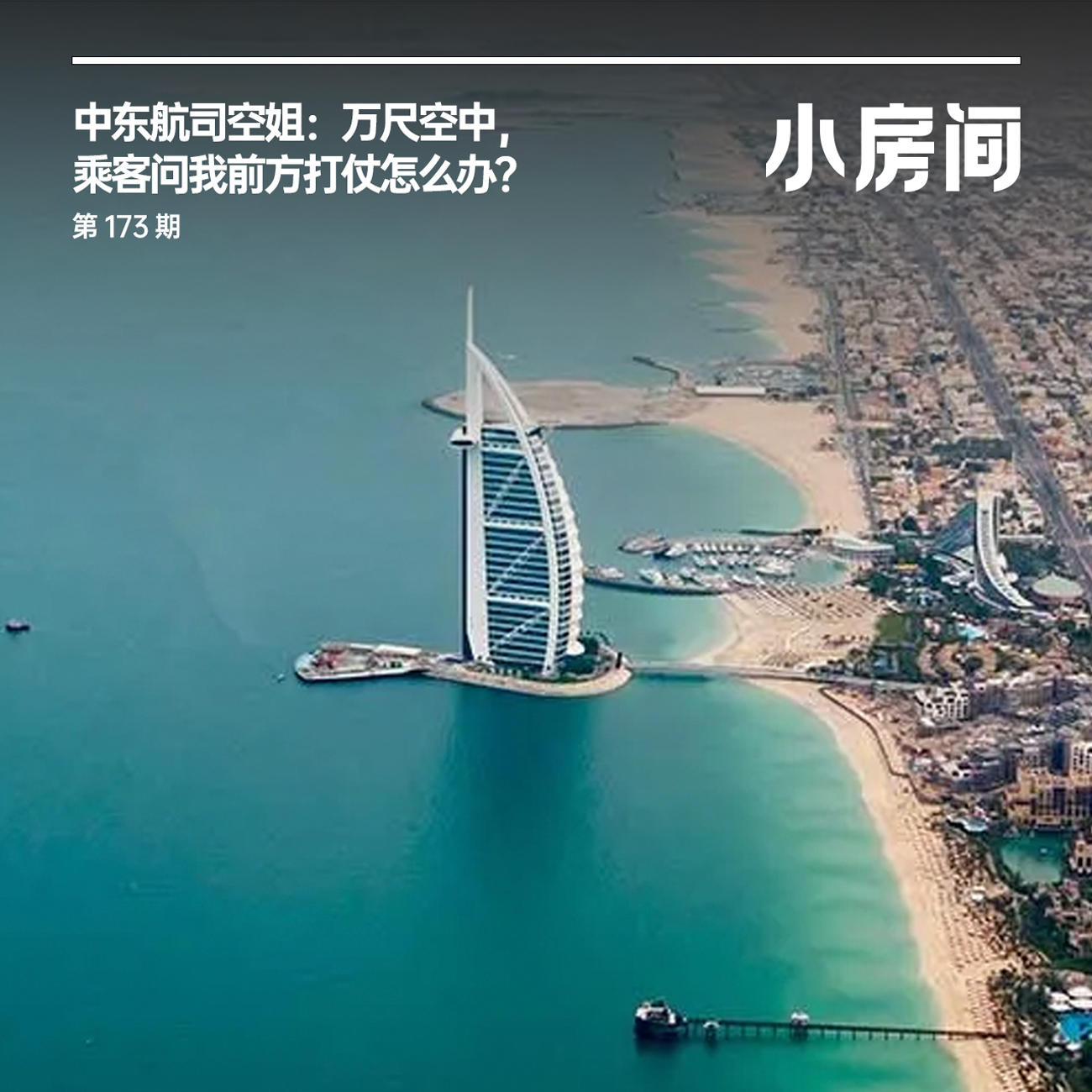 173 中东航司空姐：万尺空中，乘客问我前方打仗怎么办？