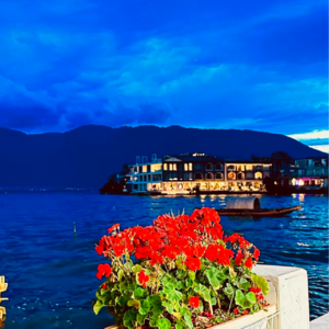 EP4助眠特辑之碳基生命的浪漫