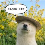 天空閃過燦爛花火