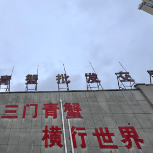 E28：世上螃蟹千千万，不必独恋阳澄湖