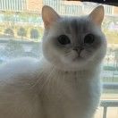 转转悠悠和糖糖