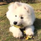 肖捷同学JamesSha