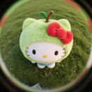 Teri_yaki